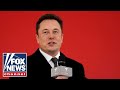 Elon Musk touts MASSIVE spending cuts if Trump wins