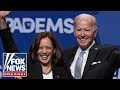 Dem donor says 'comatose' Biden would outdo VP Harris in swing states: Report