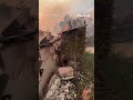 California resident returns to find home destroyed by raging wildfires