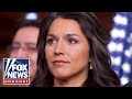 BREAKING NEWS: Trump picks Tulsi Gabbard to be Director of National Intelligence