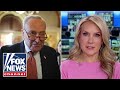 Dana Perino: Schumer has no friends this morning in Washington