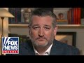 Ted Cruz: Republicans have turned this stereotype 'on its head'