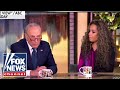 'YOU CAVED': Schumer faces wrath of 'The View'