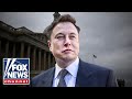 ‘GO ELON GO’: GOP lawmaker praises DOGE cuts