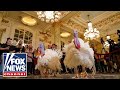 Biden pardons turkeys in White House's annual Thanksgiving tradition