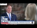 Tom Homan gives BLUNT response to ABC host's question on deportations