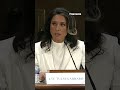 Tulsi Gabbard slams Democratic opponents who will accuse her of 'being a puppet'