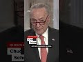 Schumer's plan to try and stop Trump's policies