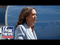 Democrats admit this could 'doom' Kamala Harris